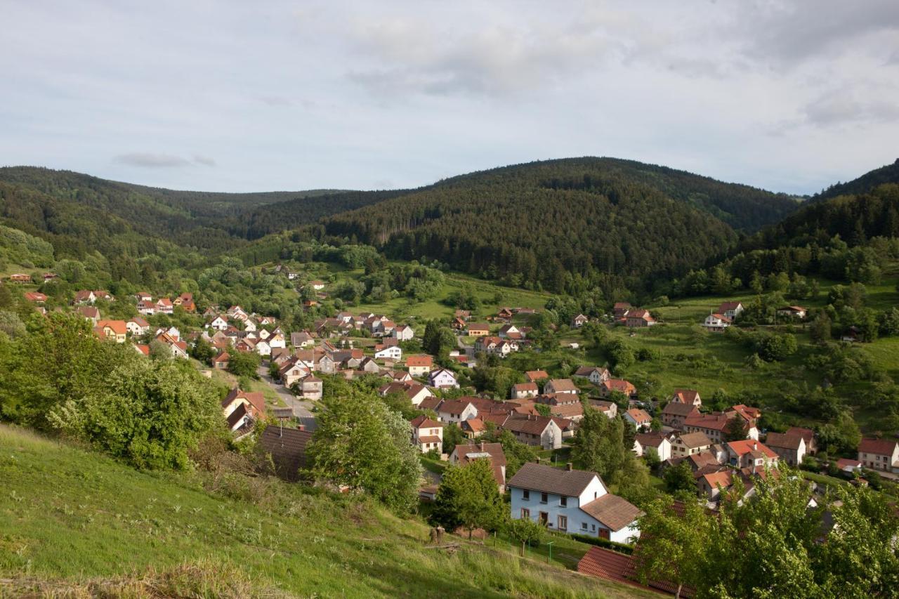 Hotel Restaurant Auberge Metzger Natzwiller Bagian luar foto
